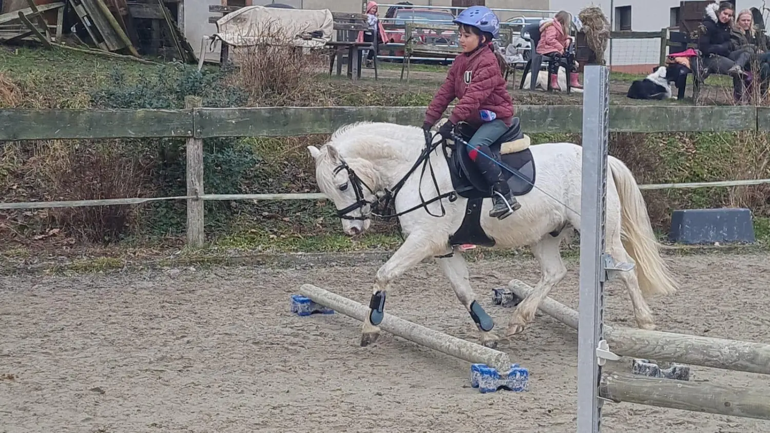 Reitsport Bachmann - Fortgeschrittenenunterricht für Kinder