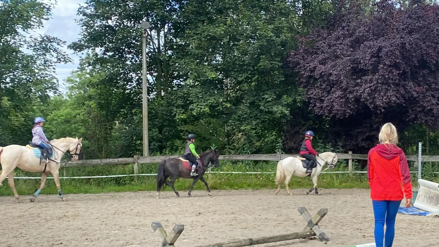 Reitsport Bachmann - Fortgeschrittenenunterricht für Kinder