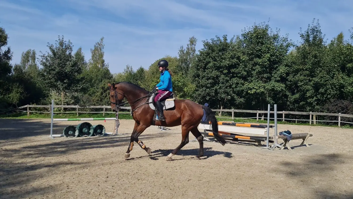 Reitsport Bachmann - Dressurtraining