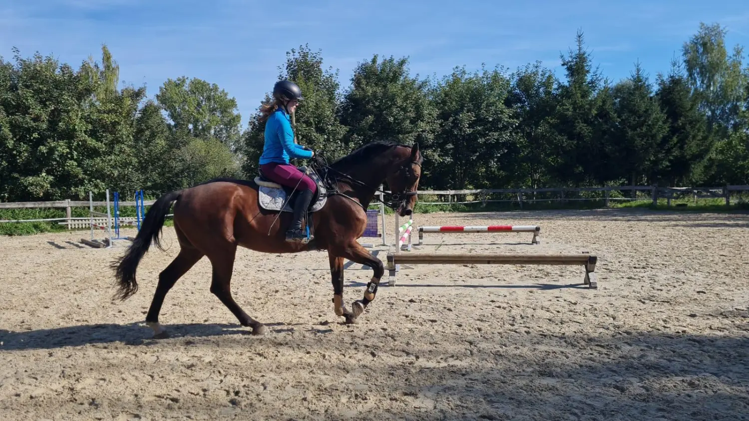 Reitsport Bachmann - Dressurtraining