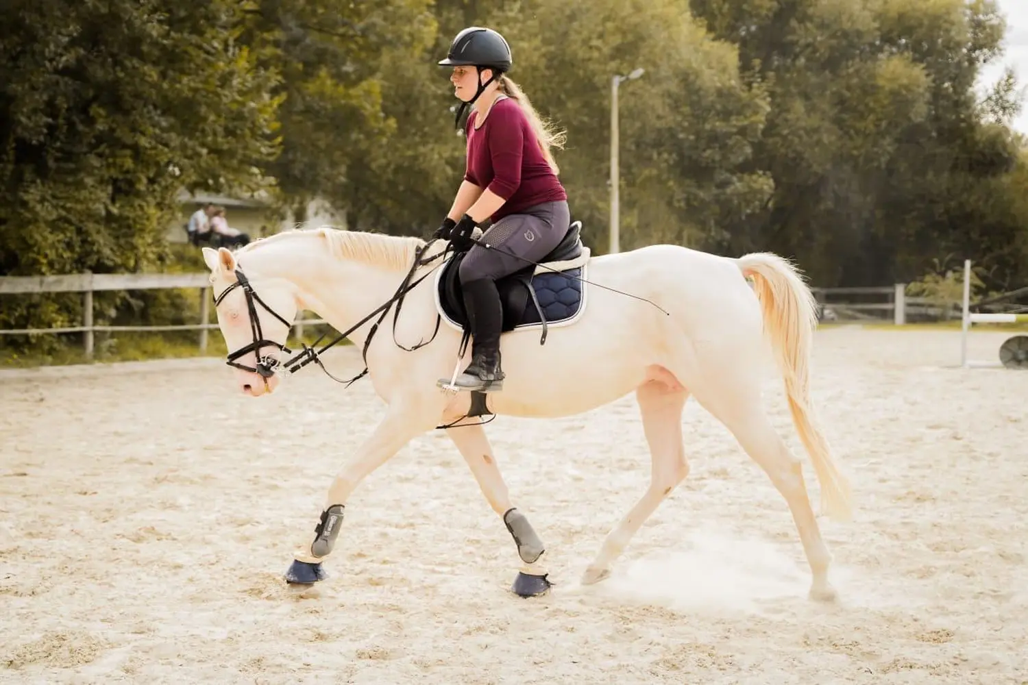 Reitsport Bachmann - Dressurtraining