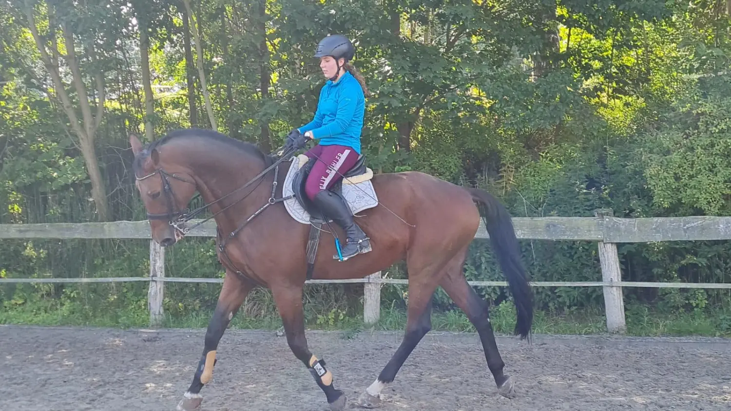 Reitsport Bachmann - Dressurtraining