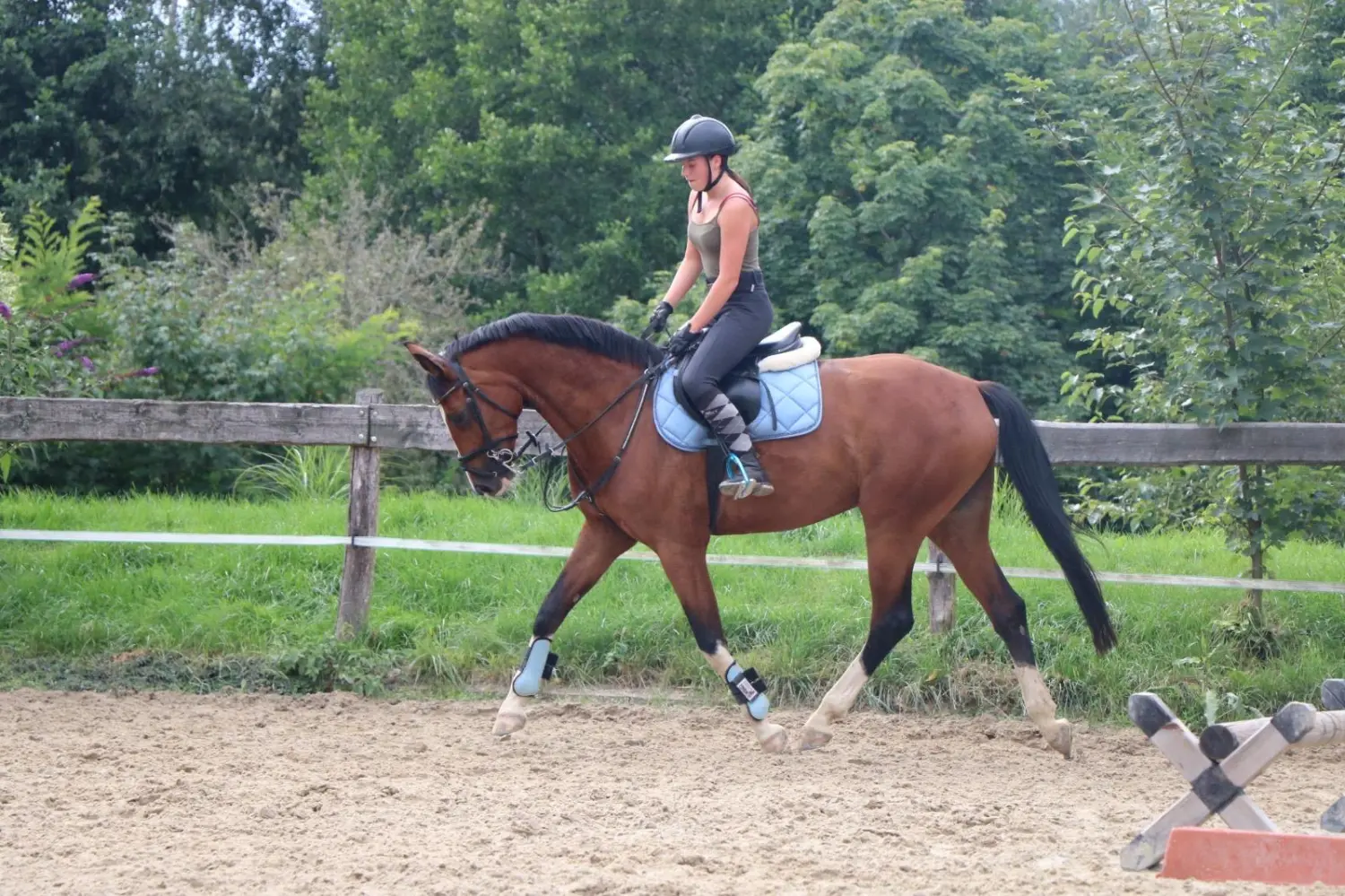 Reitsport Bachmann - Dressurtraining