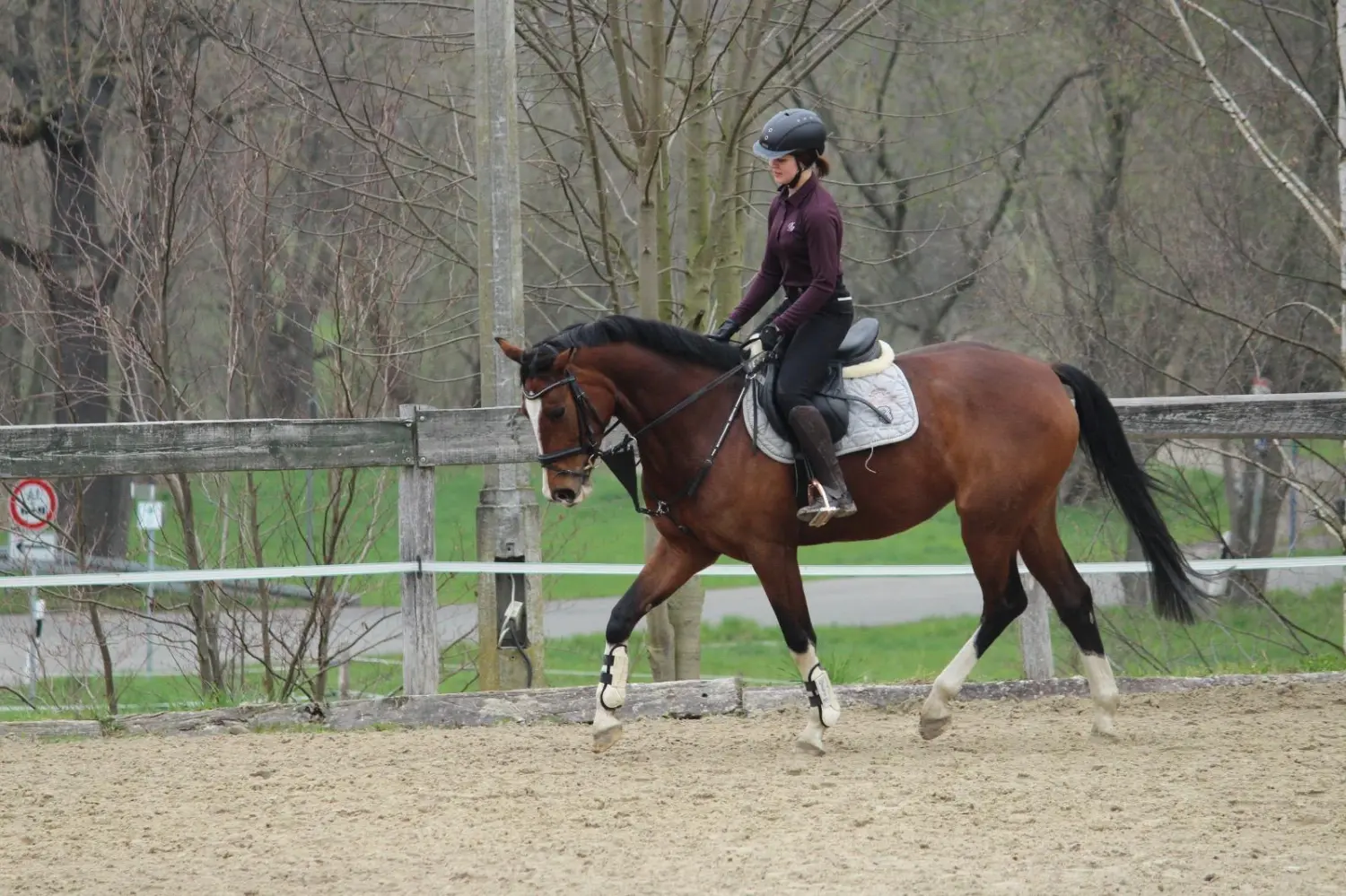 Reitsport Bachmann - Dressurtraining