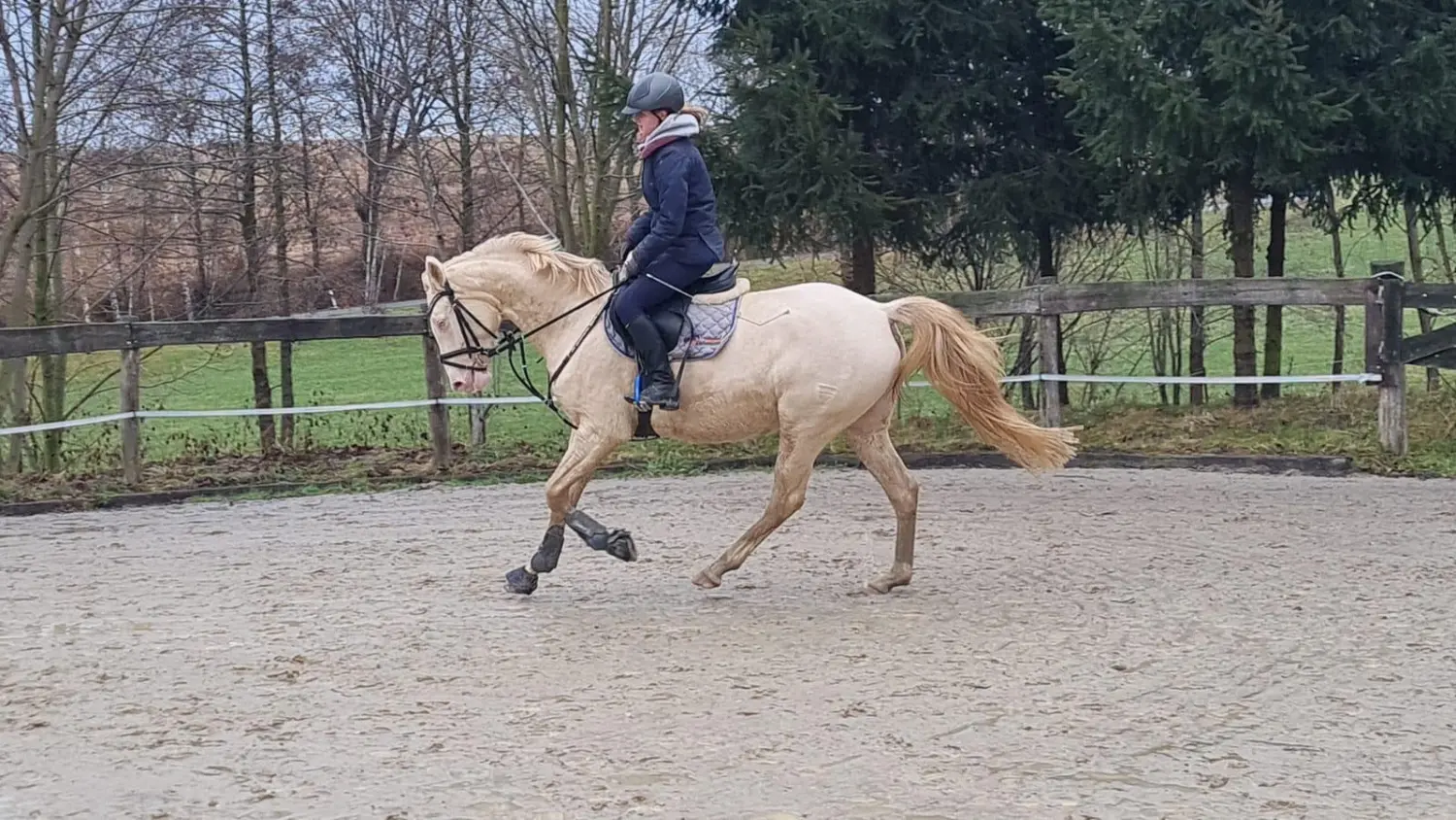 Reitsport Bachmann - Dressurtraining
