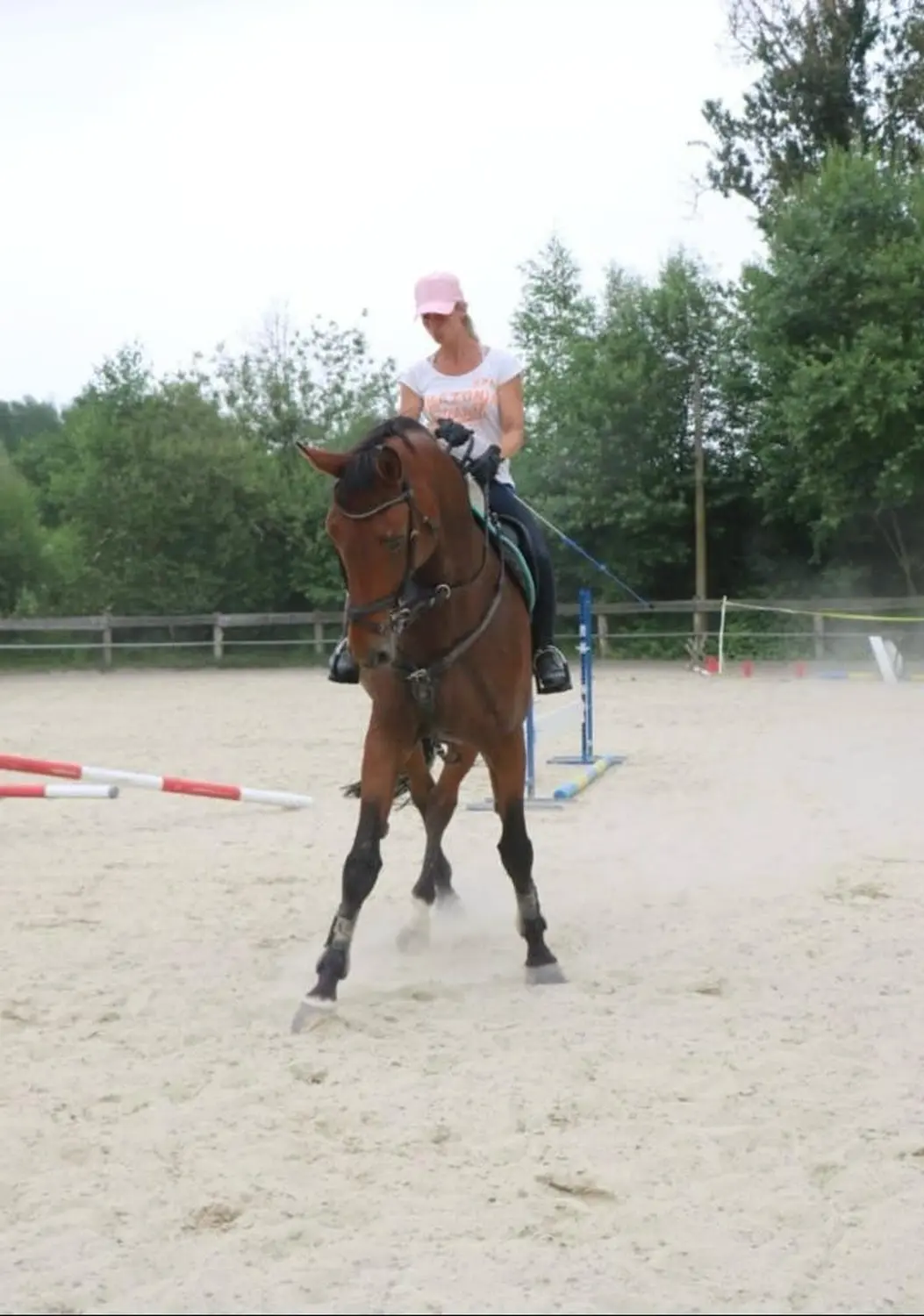 Reitsport Bachmann - Dressurtraining