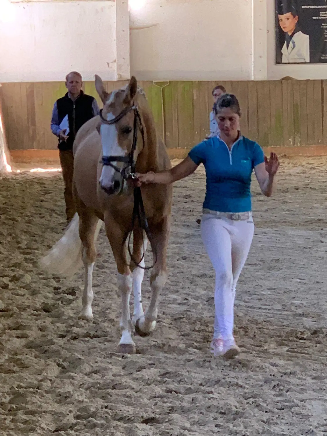 Reitsport Bachmann - Turnieranleitung und Turniervorstellung (Beritt)