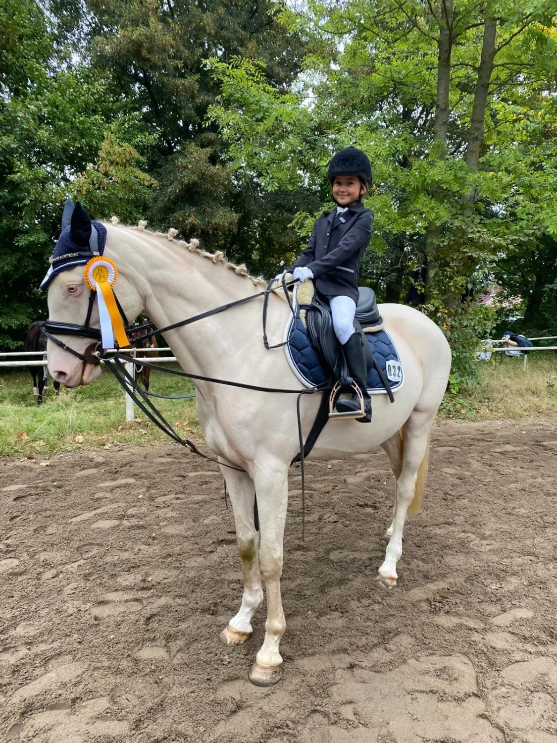 Reitsport Bachmann - Turnieranleitung und Turniervorstellung (Beritt)