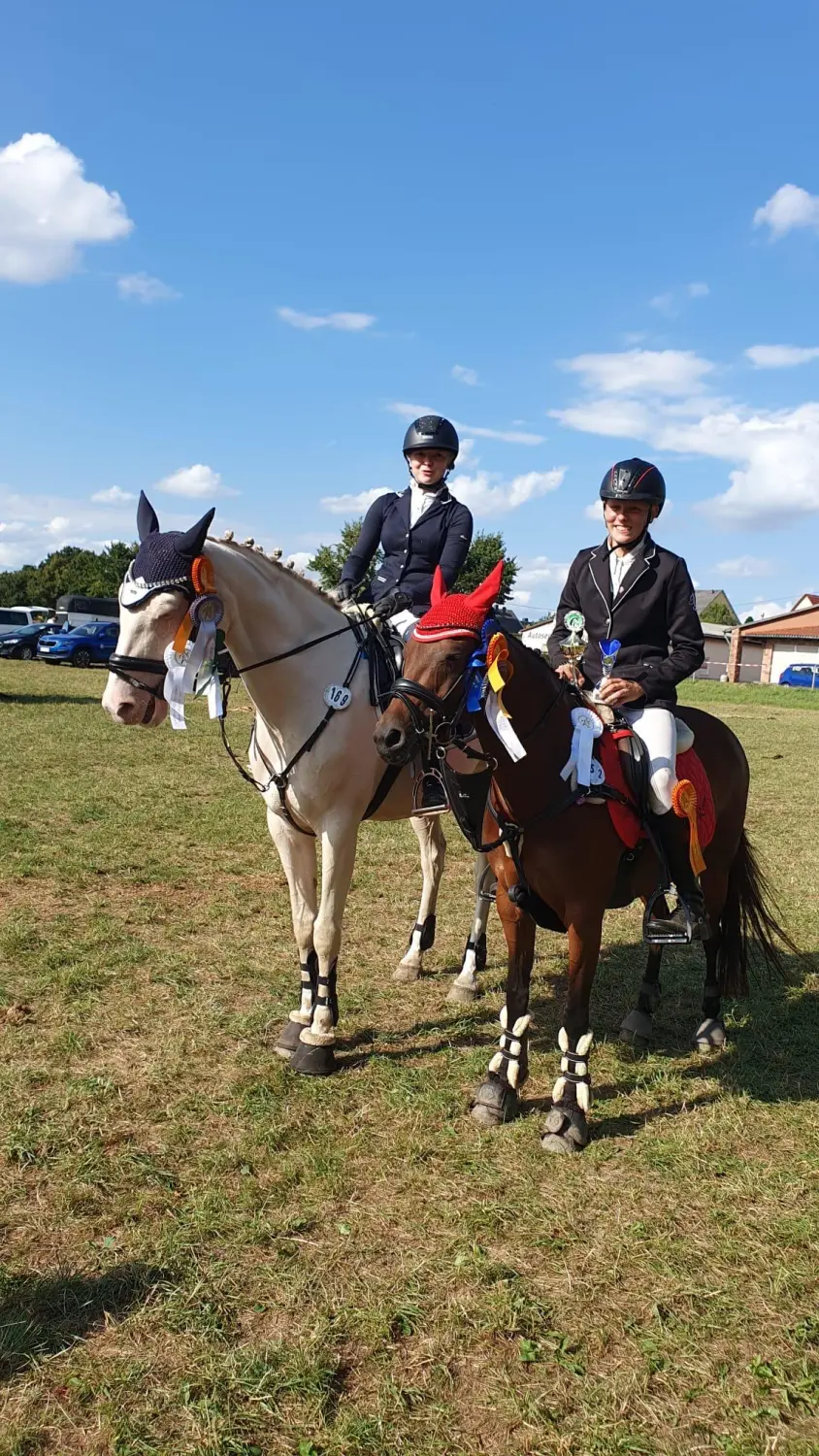 Reitsport Bachmann - Turnieranleitung und Turniervorstellung (Beritt)