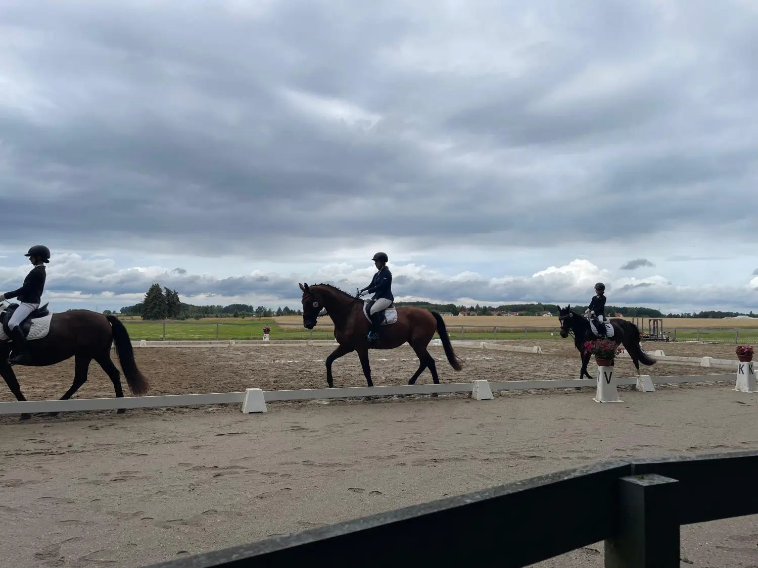 Reitsport Bachmann - Turnieranleitung und Turniervorstellung (Beritt)