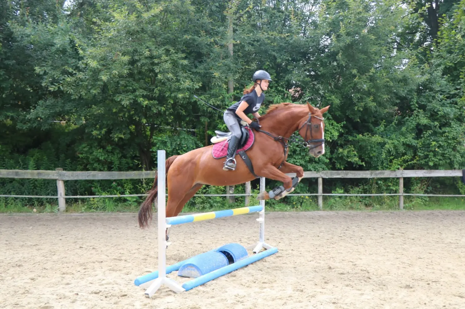 Reitsport Bachmann - Reitferien & Sportunterricht, Springtraining