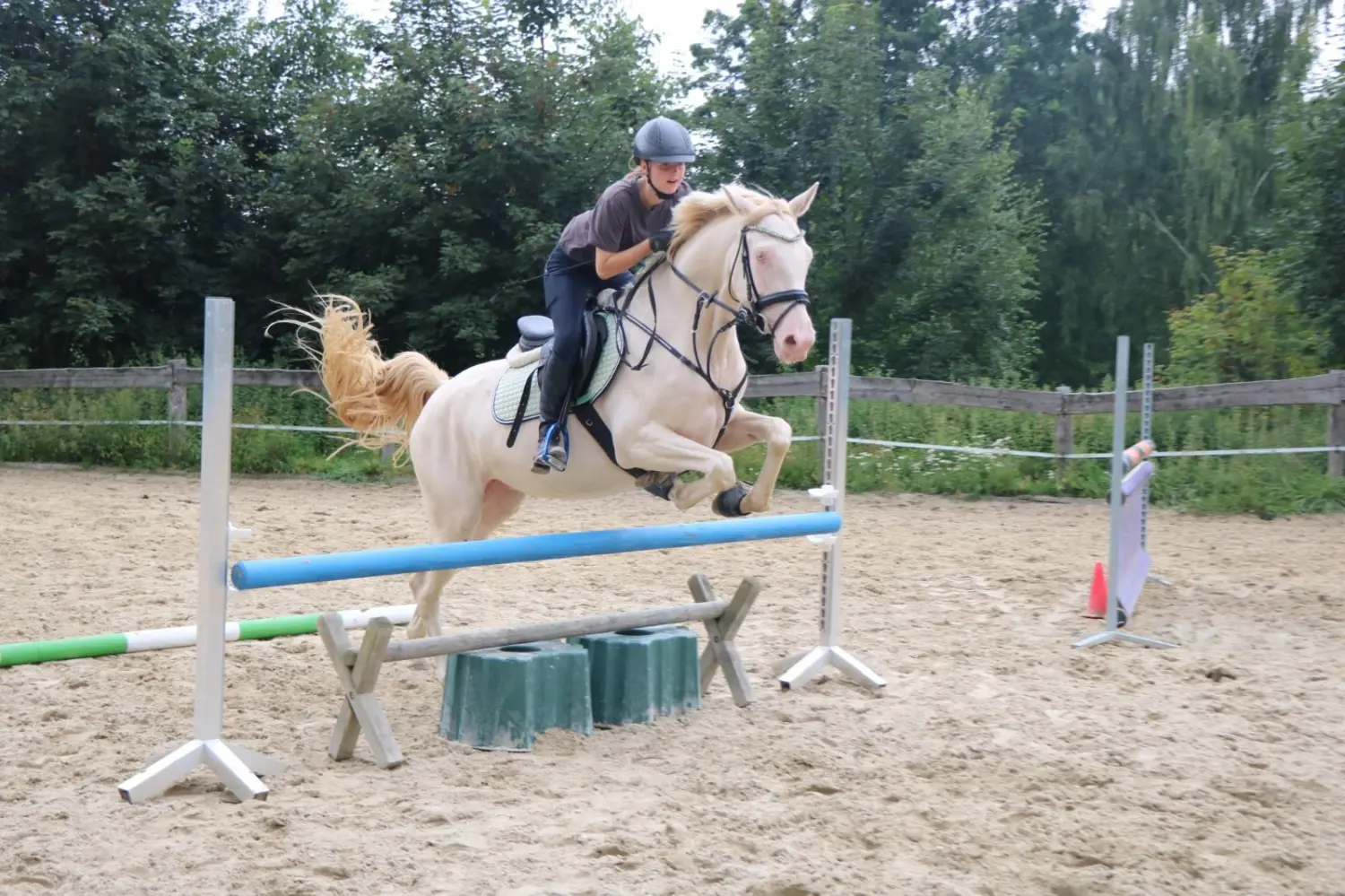 Reitsport Bachmann - Reitferien & Sportunterricht, Springtraining