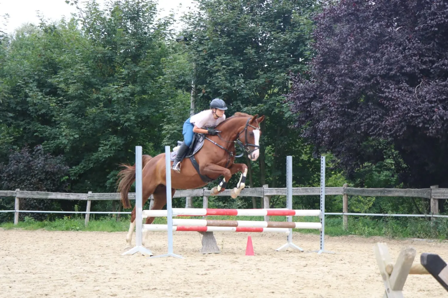 Reitsport Bachmann - Reitferien & Sportunterricht, Springtraining