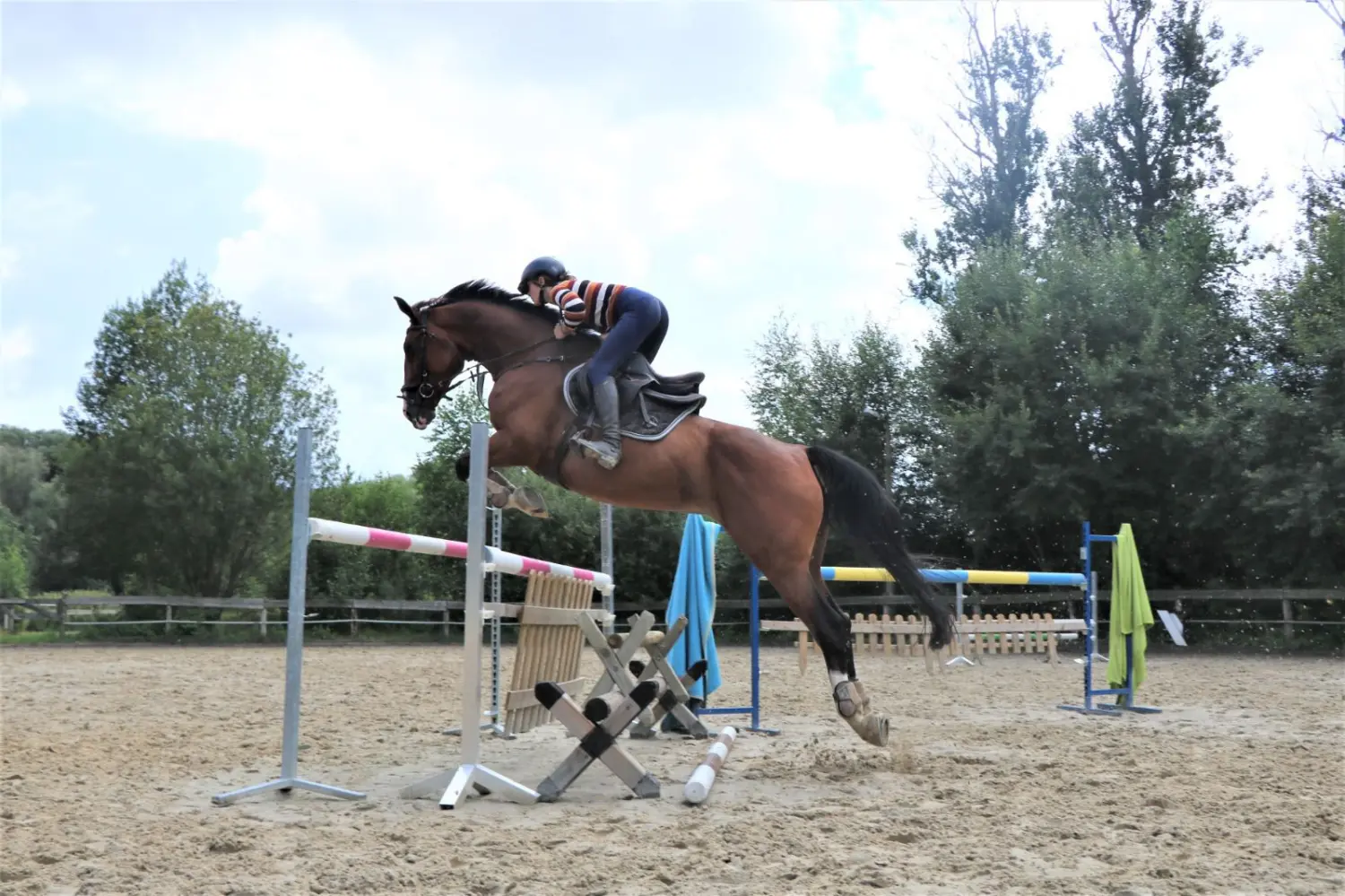 Reitsport Bachmann - Reitferien & Sportunterricht, Springtraining