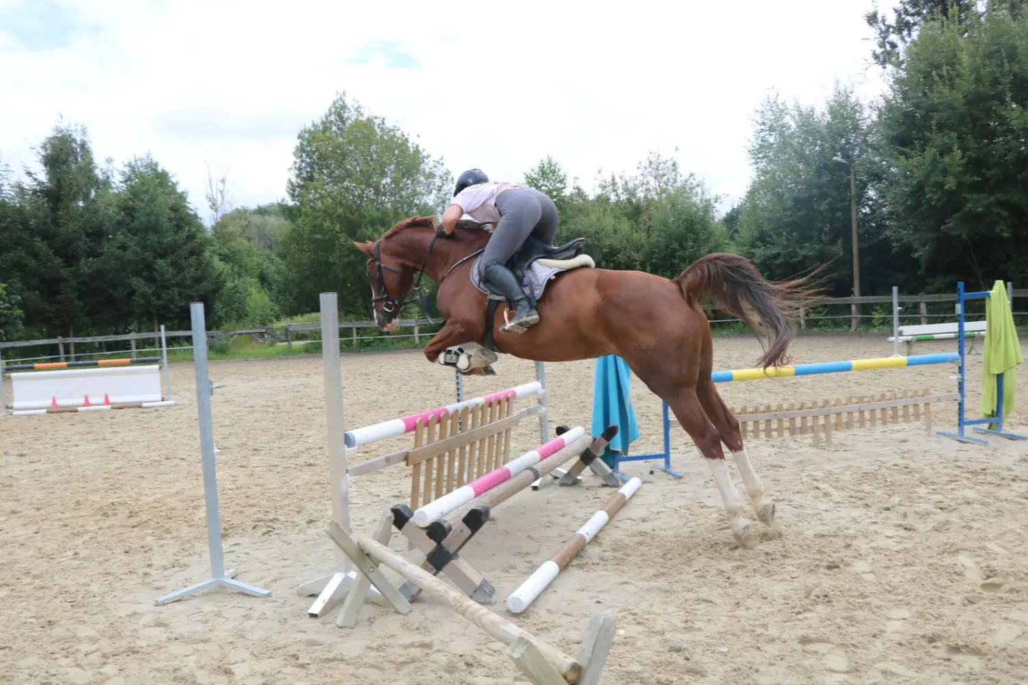 Reitsport Bachmann - Reitferien & Sportunterricht, Springtraining