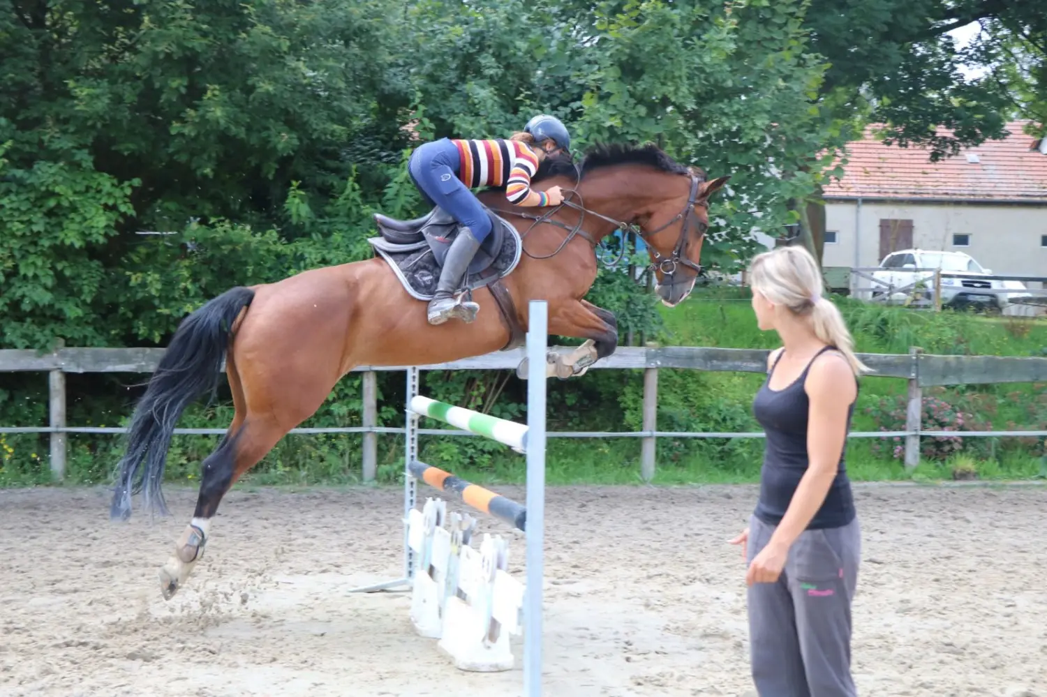 Reitsport Bachmann - Reitferien & Sportunterricht, Springreiten