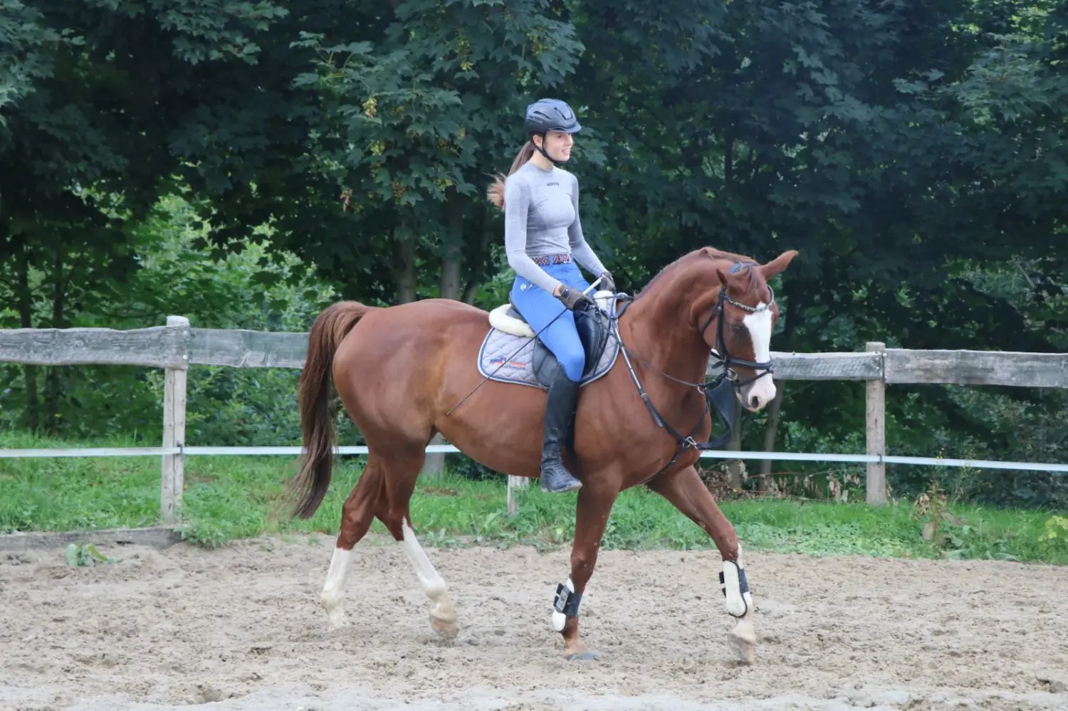 Reitsport Bachmann - Reitferien & Sportunterricht, Springreiten