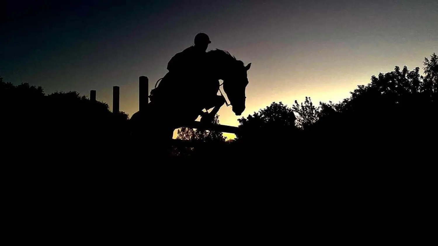 Reitsport Bachmann - Reitferien & Sportunterricht, Springreiten