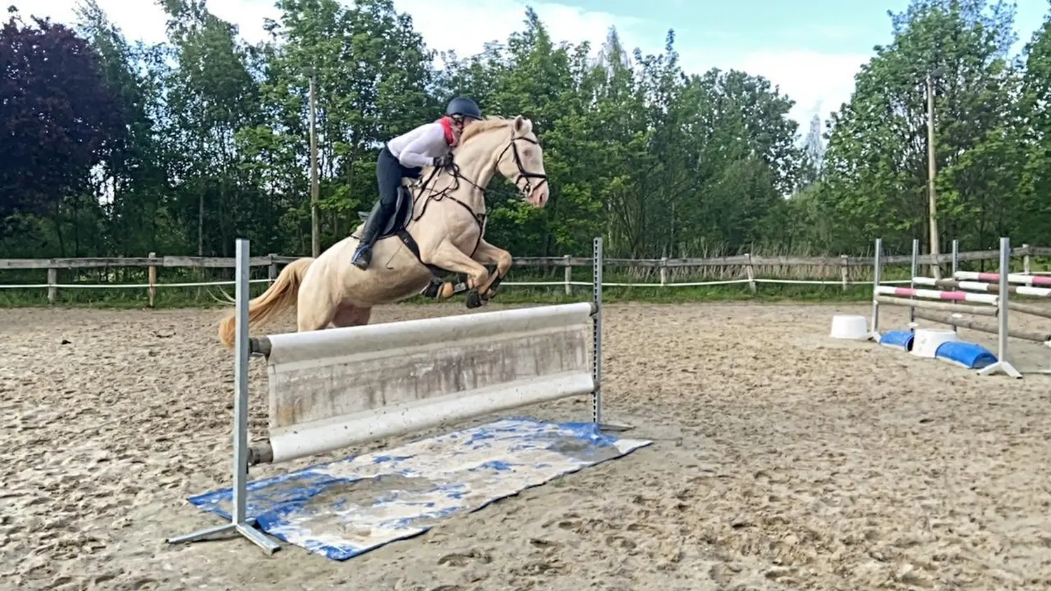 Reitsport Bachmann - Reitferien & Sportunterricht, Springreiten