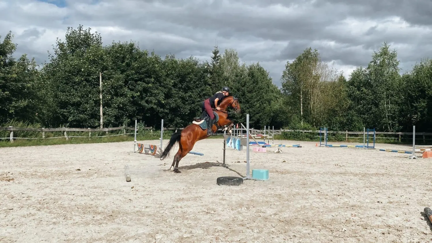 Reitsport Bachmann - Reitferien & Sportunterricht, Springreiten