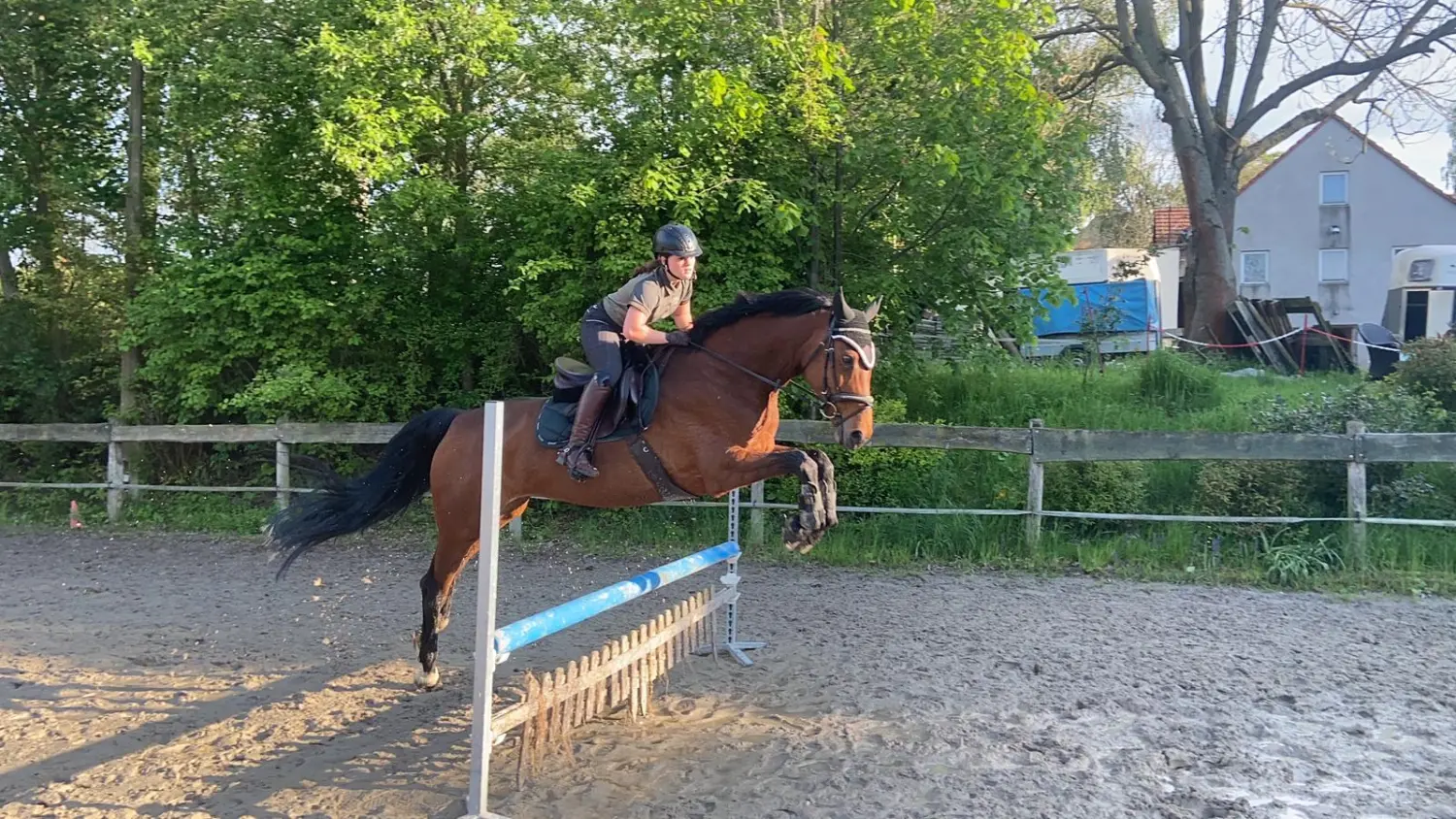 Reitsport Bachmann - Reitferien & Sportunterricht, Springreiten