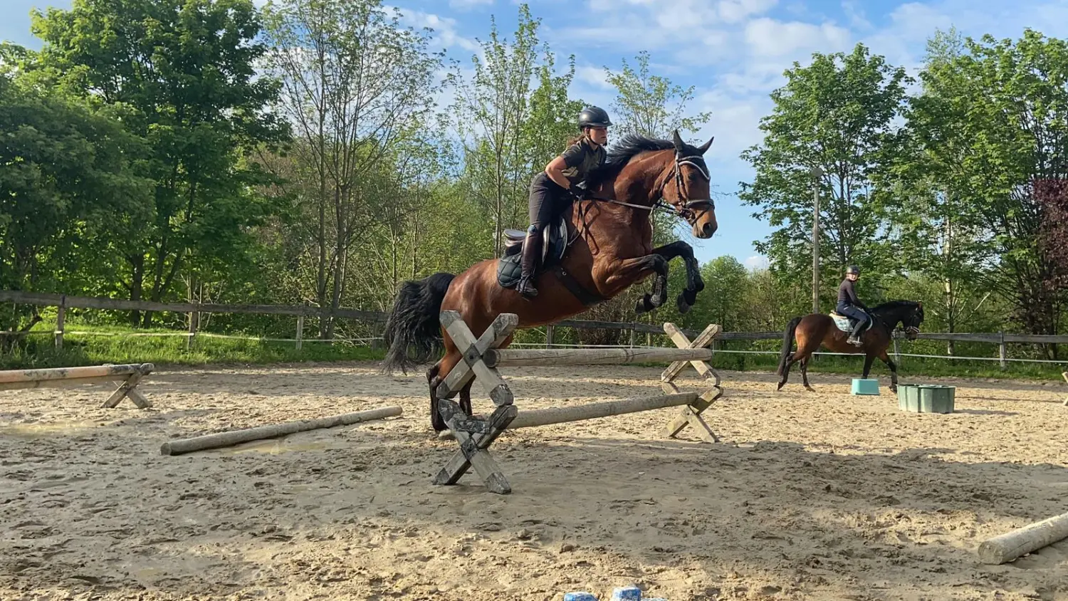 Reitsport Bachmann - Reitferien & Sportunterricht, Springreiten