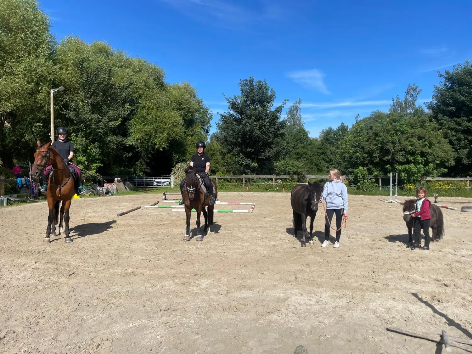 Reitsport Bachmann - Reitferien & Sportunterricht, Springreiten