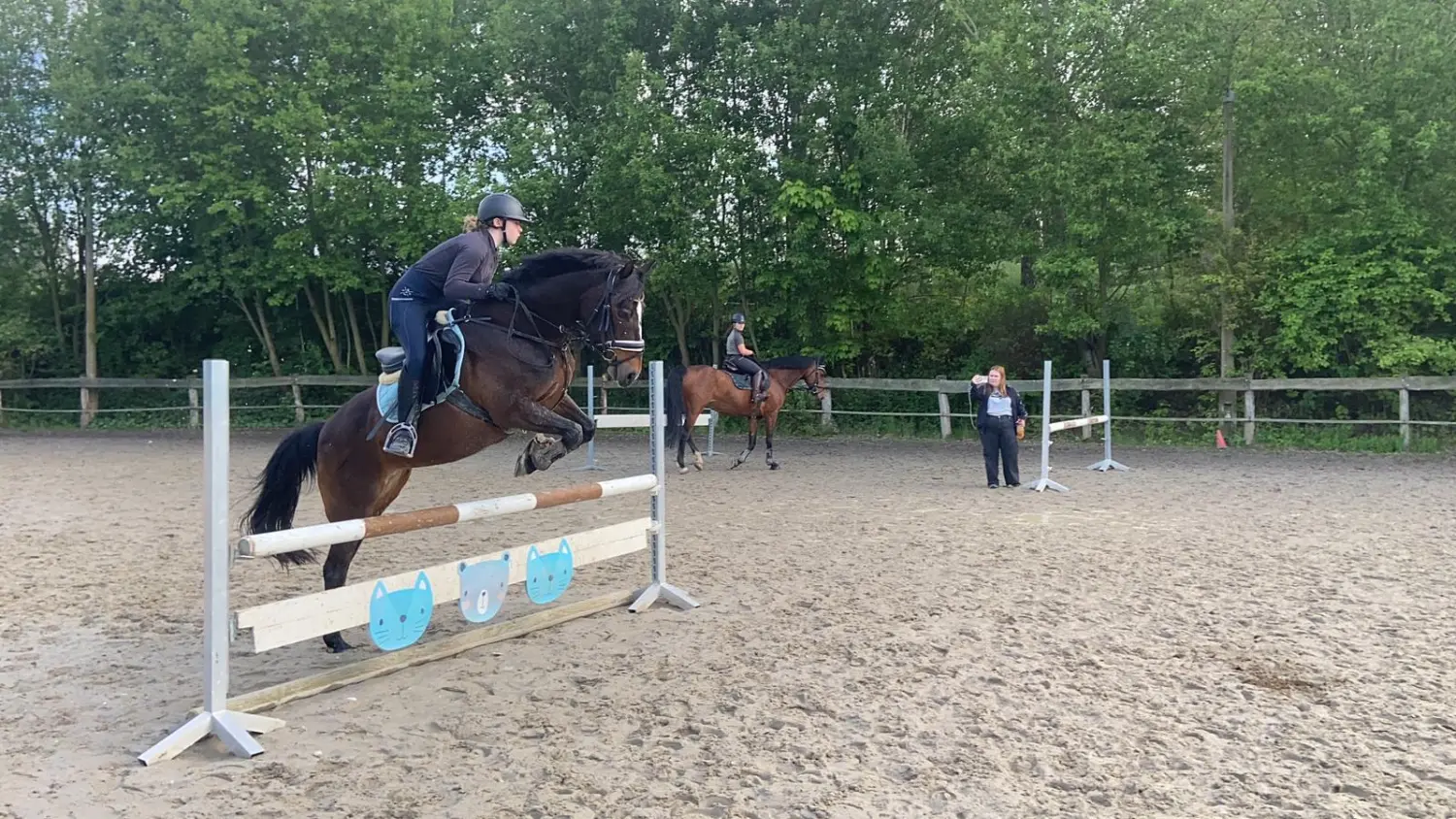 Reitsport Bachmann - Reitferien & Sportunterricht, Springreiten