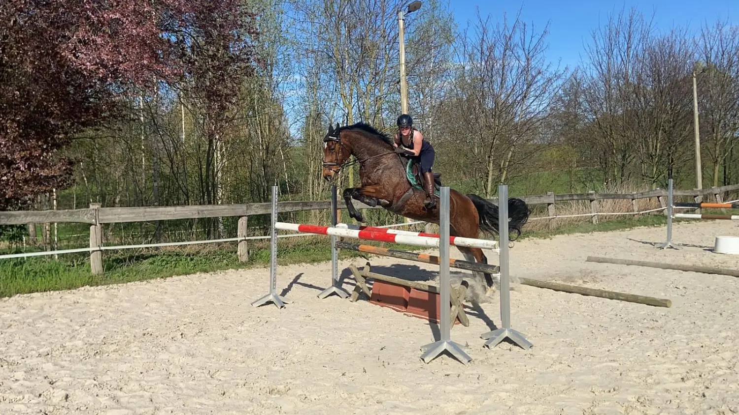 Reitsport Bachmann - Reitferien & Sportunterricht, Springreiten