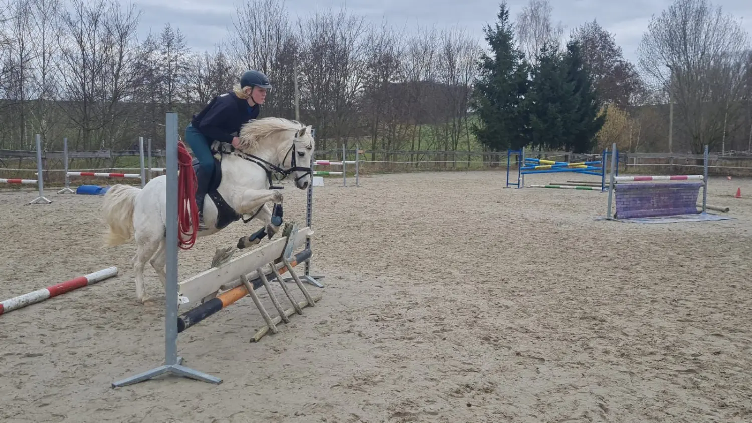 Reitsport Bachmann - Reitferien & Sportunterricht, Kinder auf Pferden