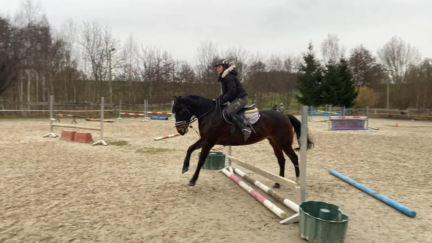 Reitsport Bachmann - Reitferien & Sportunterricht, Springreiten