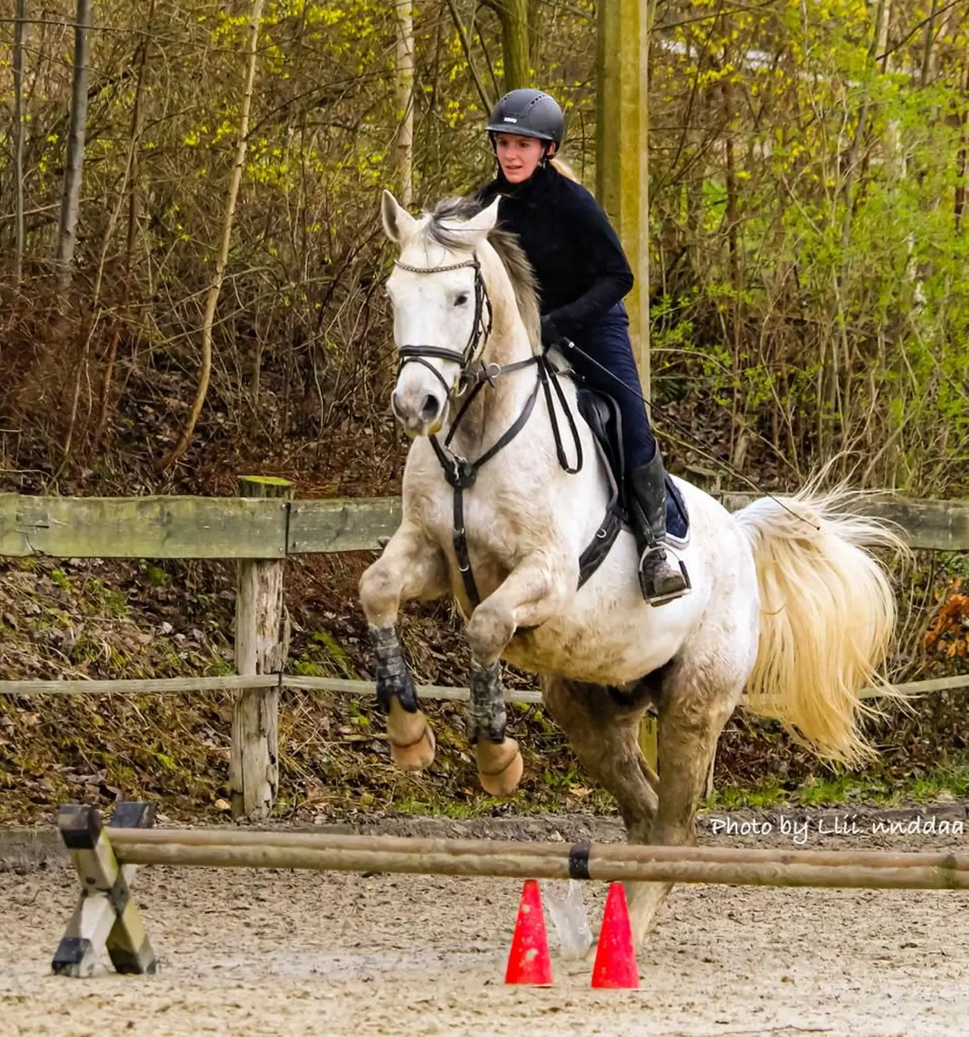Reitsport Bachmann - Reitferien & Sportunterricht, Springtraining