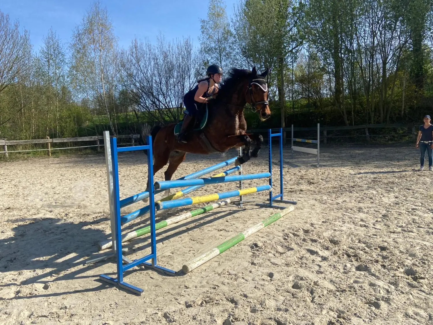 Reitsport Bachmann - Reitferien & Sportunterricht, Springtraining