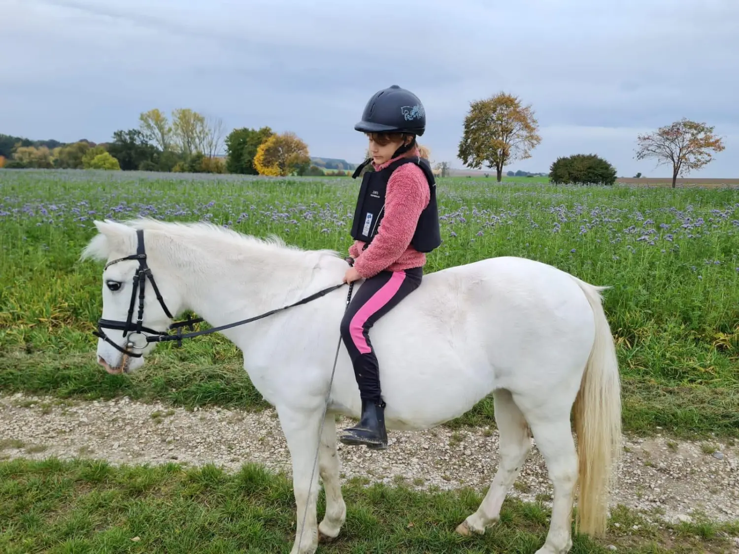 Reitsport Bachmann - Geländeritte/ Wanderritte