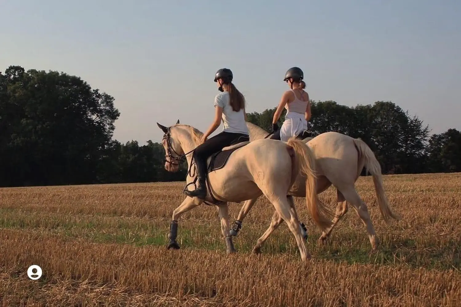 Reitsport Bachmann - Geländeritte/ Wanderritte