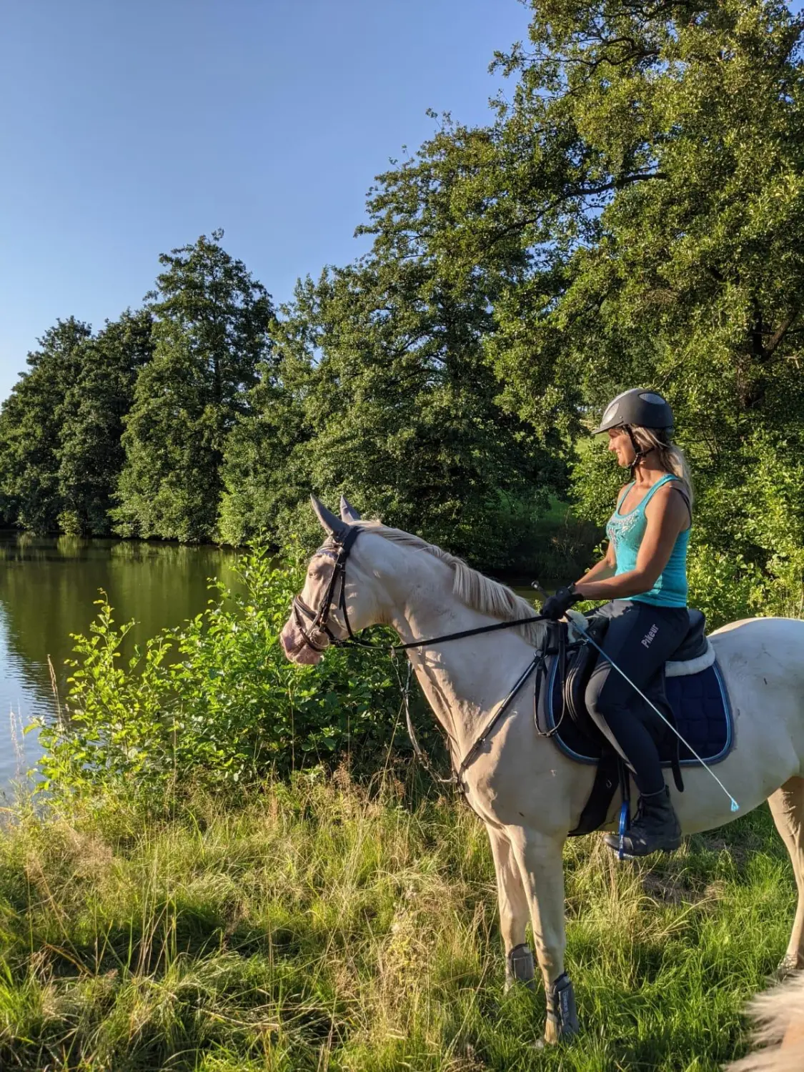 Reitsport Bachmann - Geländeritte/ Wanderritte