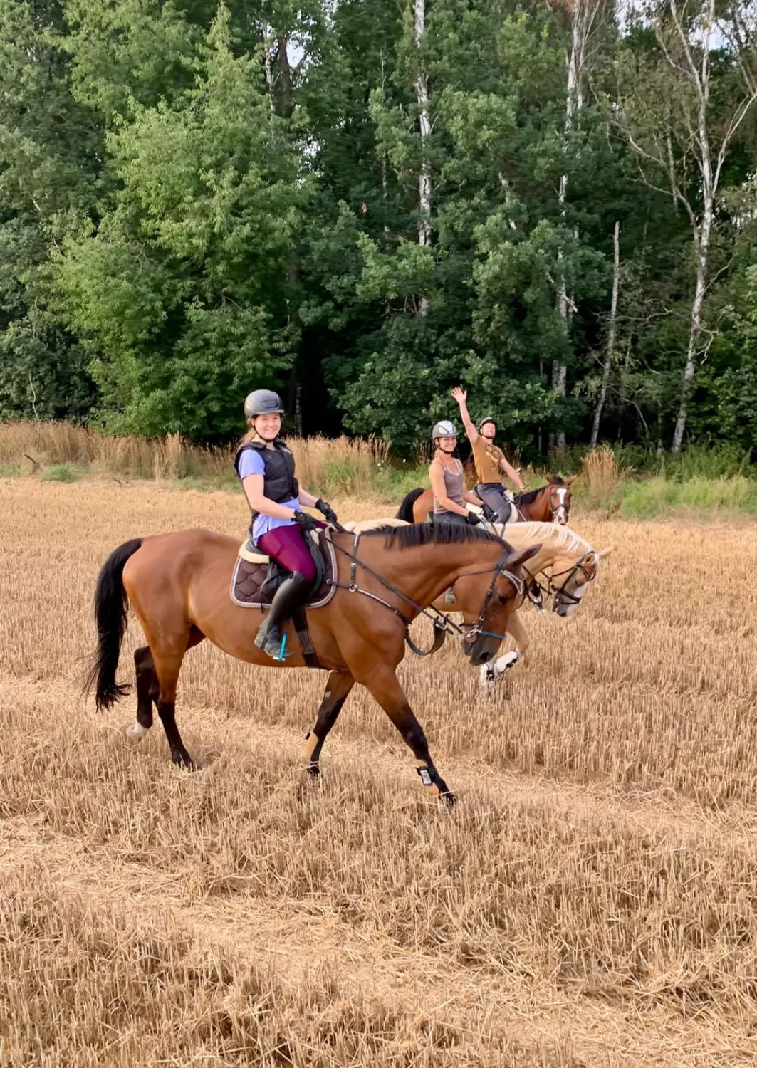 Reitsport Bachmann - Geländeritte/ Wanderritte
