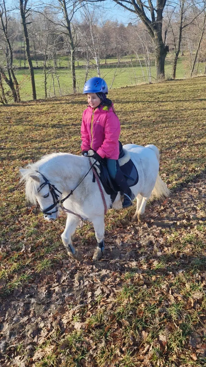 Reitsport Bachmann - Geländeritte/ Wanderritte