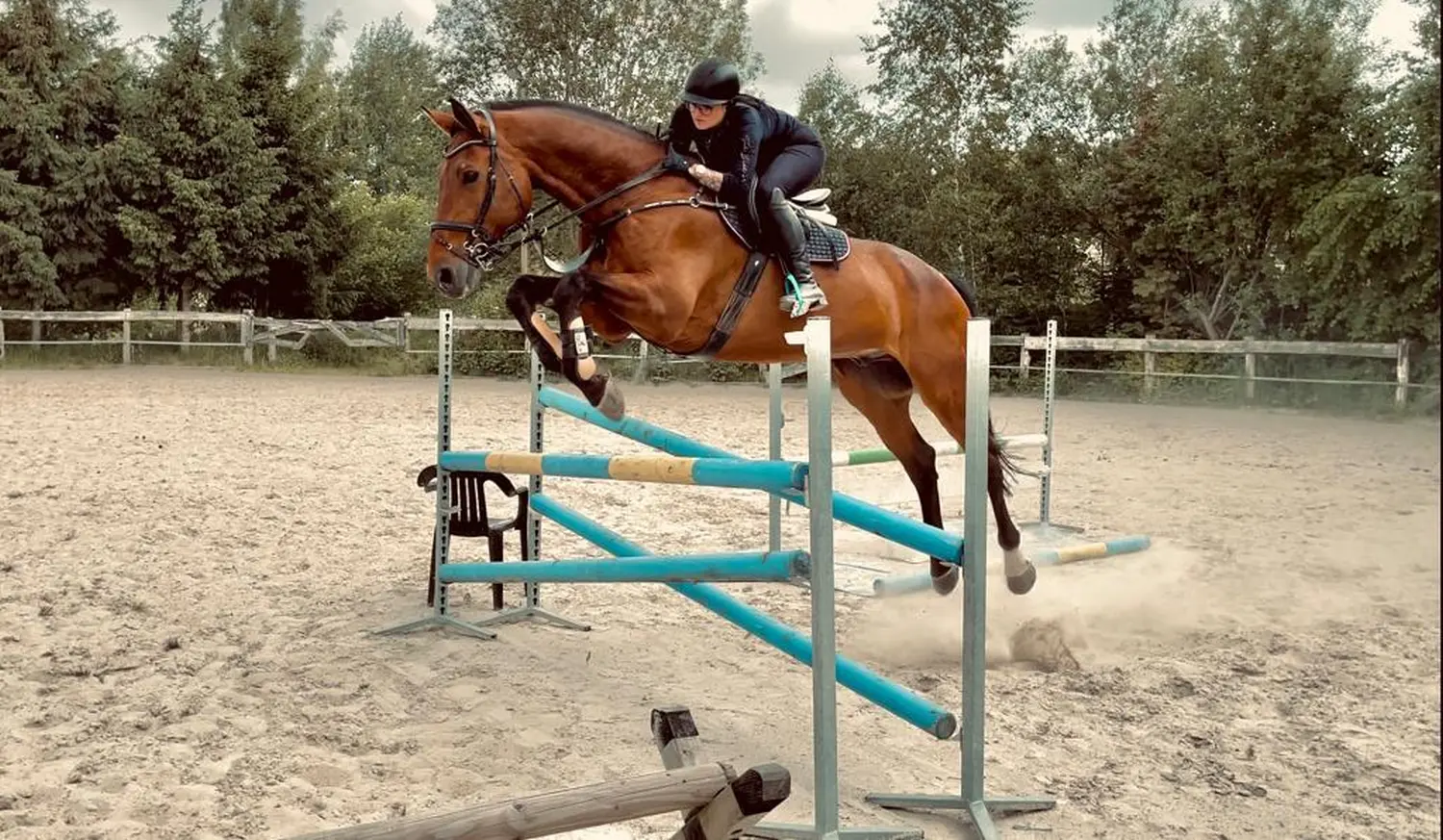 Reitsport Bachmann - Springtraining