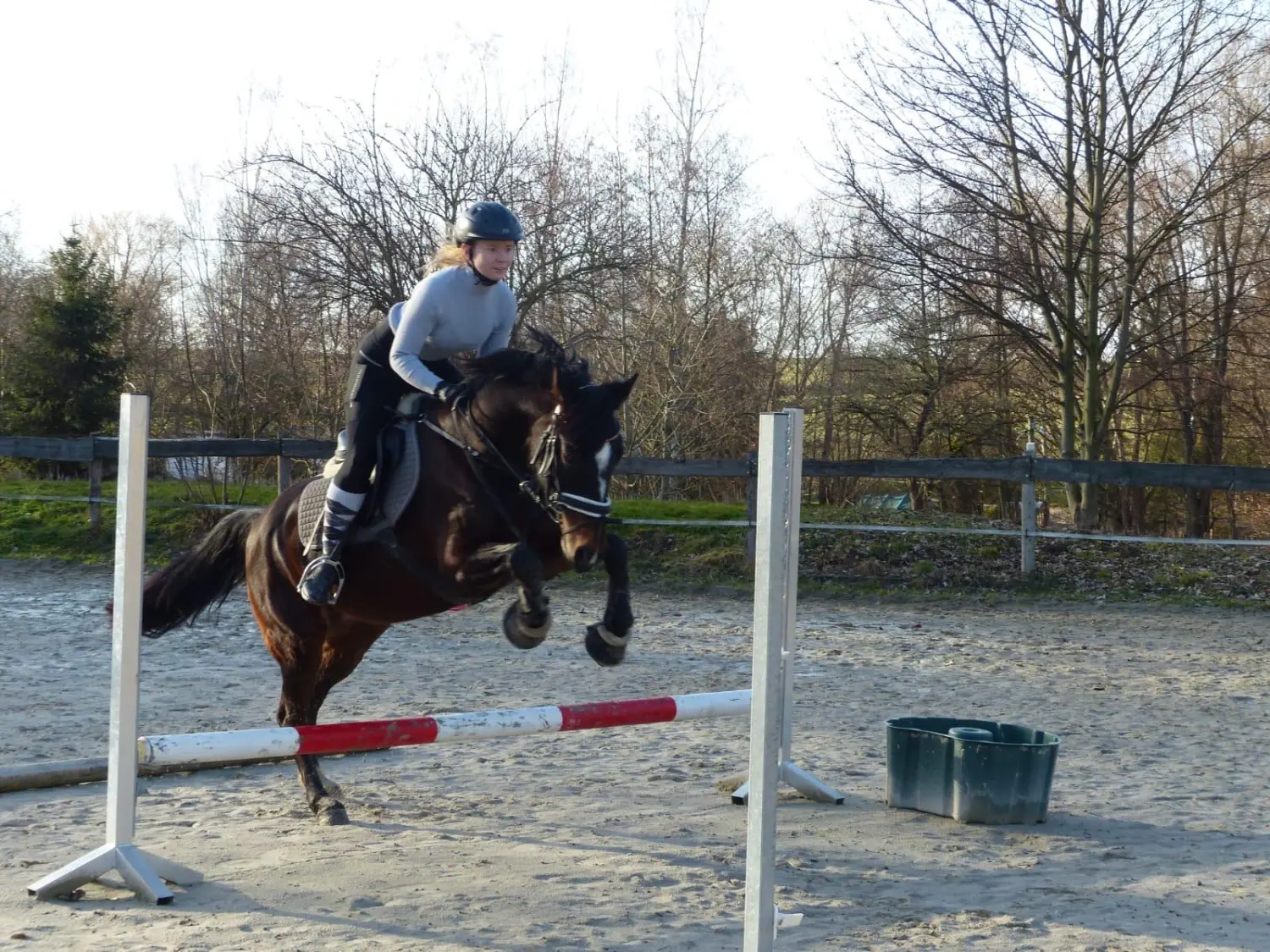 Reitsport Bachmann - Springtraining
