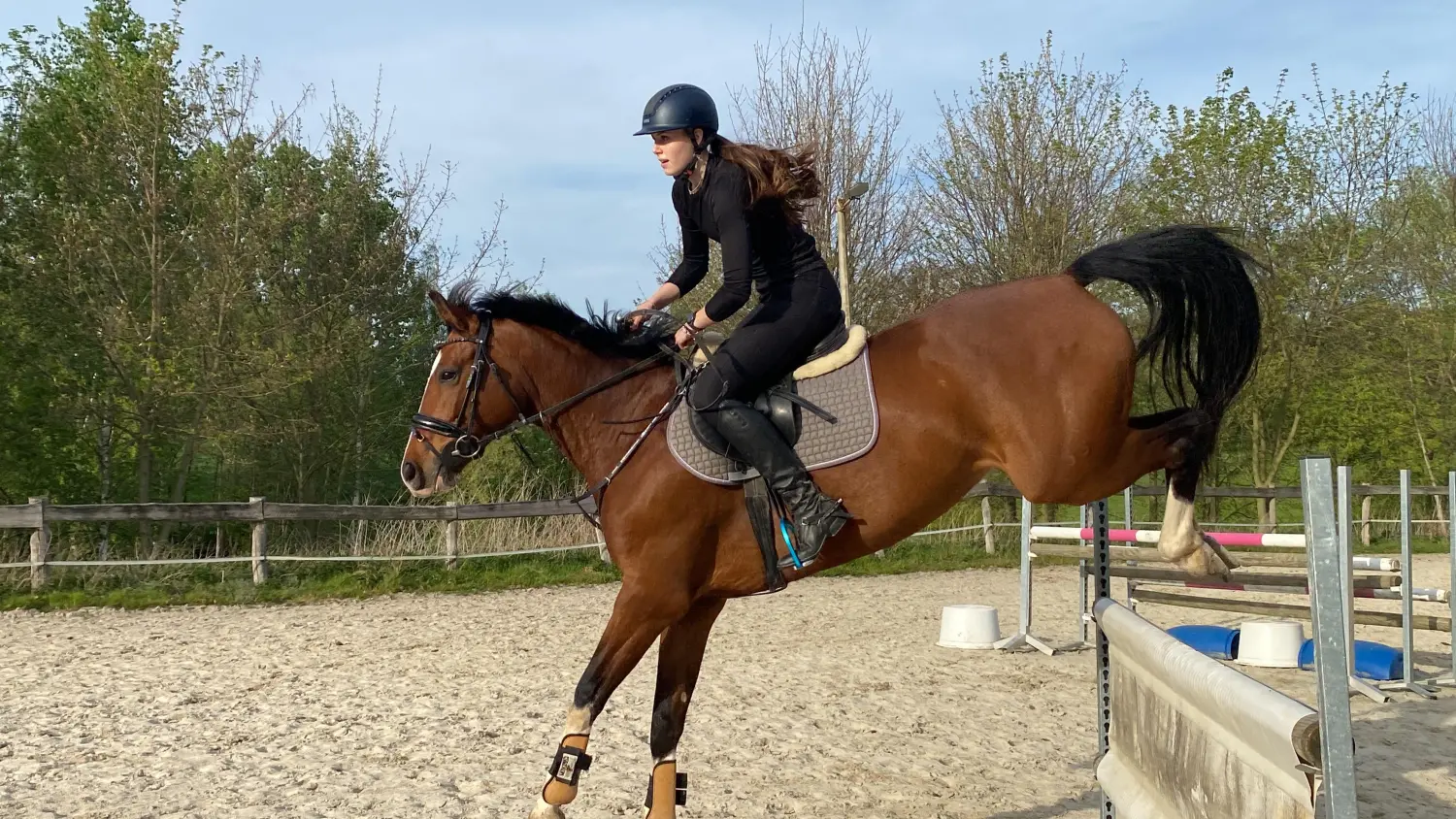 Reitsport Bachmann - Springtraining
