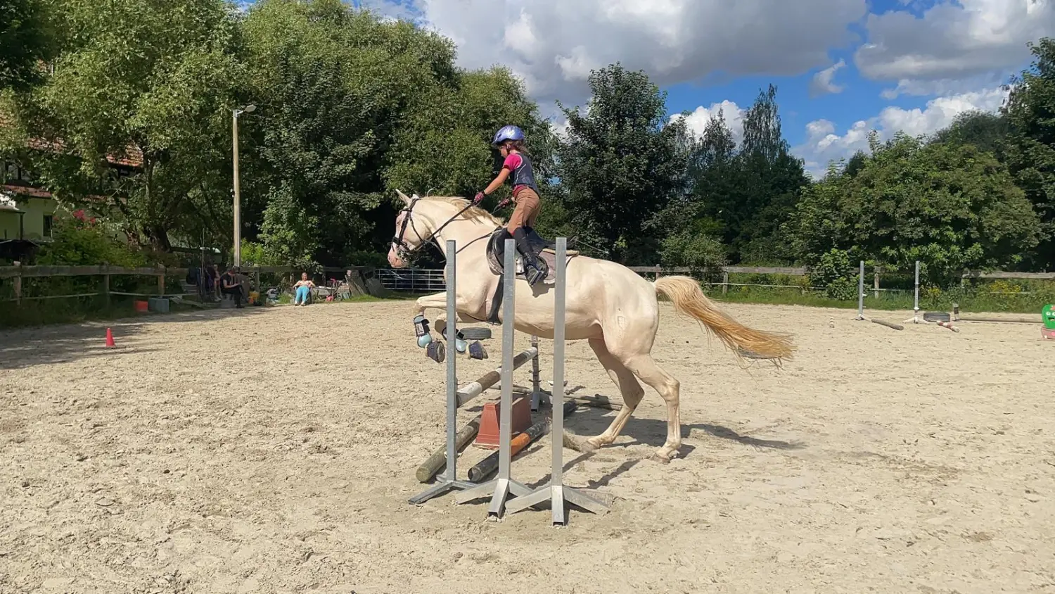 Reitsport Bachmann - Springtraining
