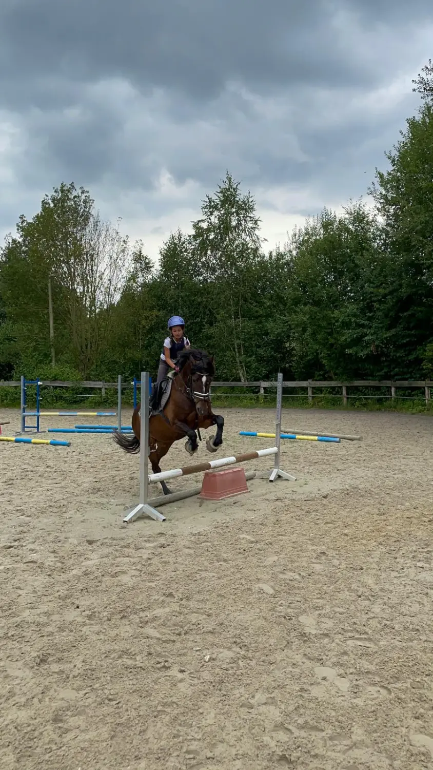Reitsport Bachmann - Springtraining