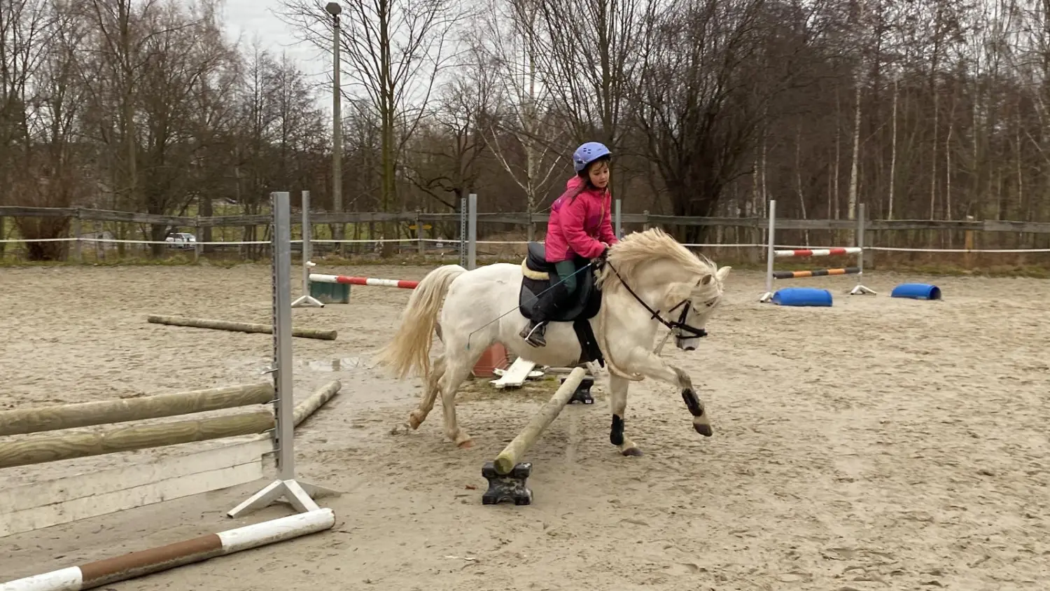 Reitsport Bachmann - Springtraining