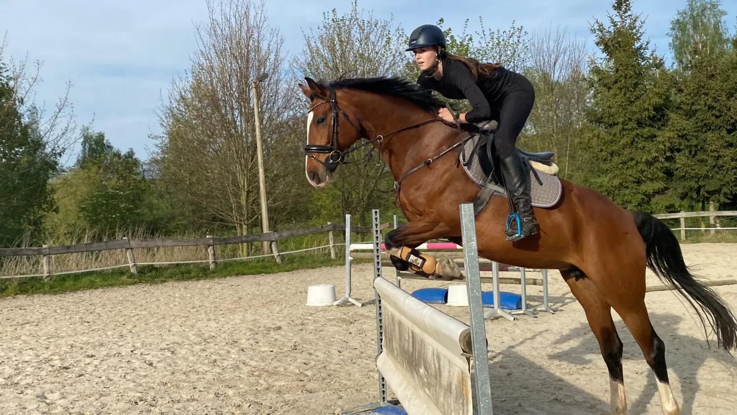 Reitsport Bachmann - Springtraining