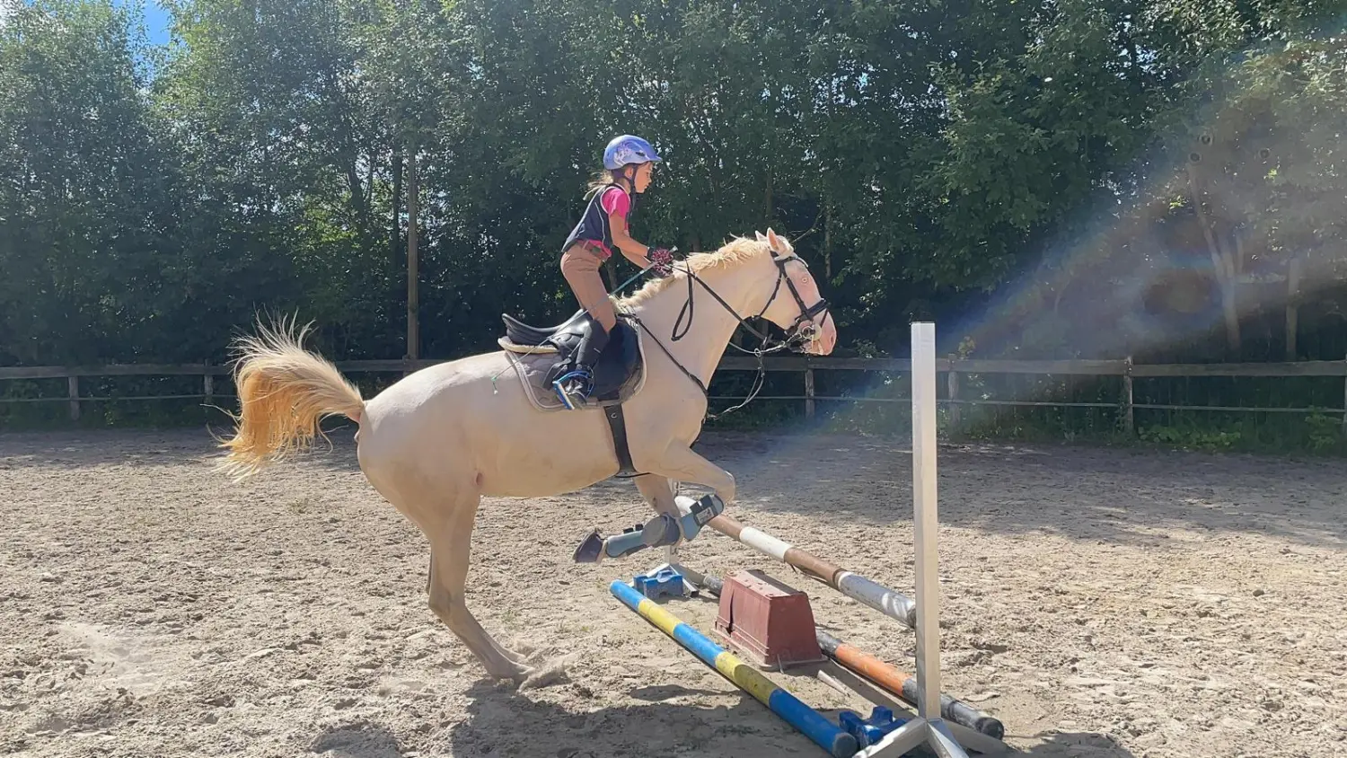 Reitsport Bachmann - Springtraining