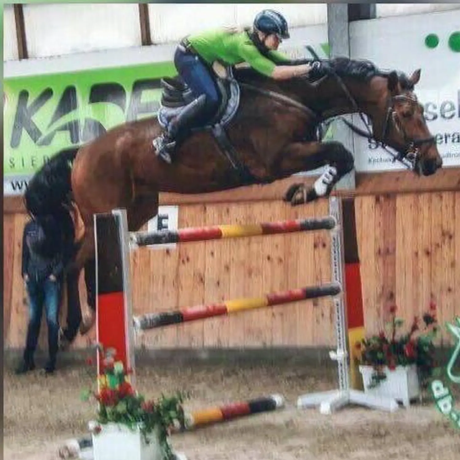 Reitsport Bachmann - Springtraining