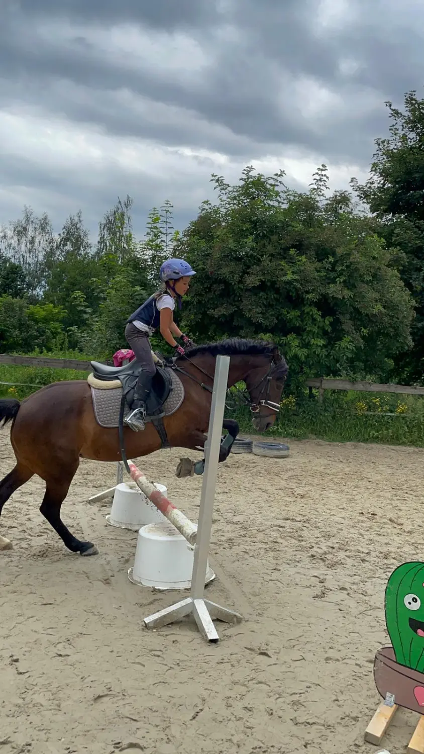 Reitsport Bachmann - Springtraining