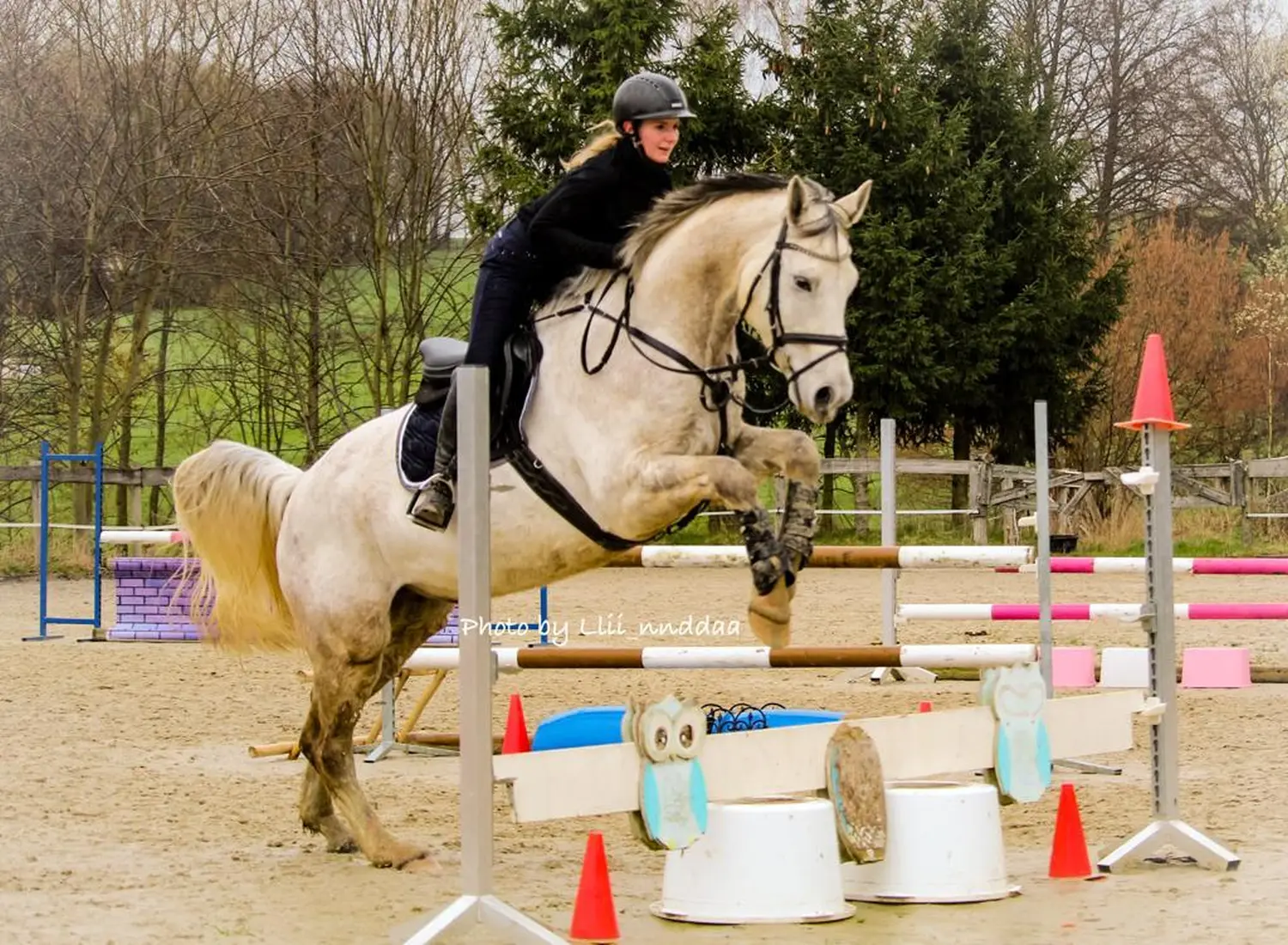 Reitsport Bachmann - Springtraining