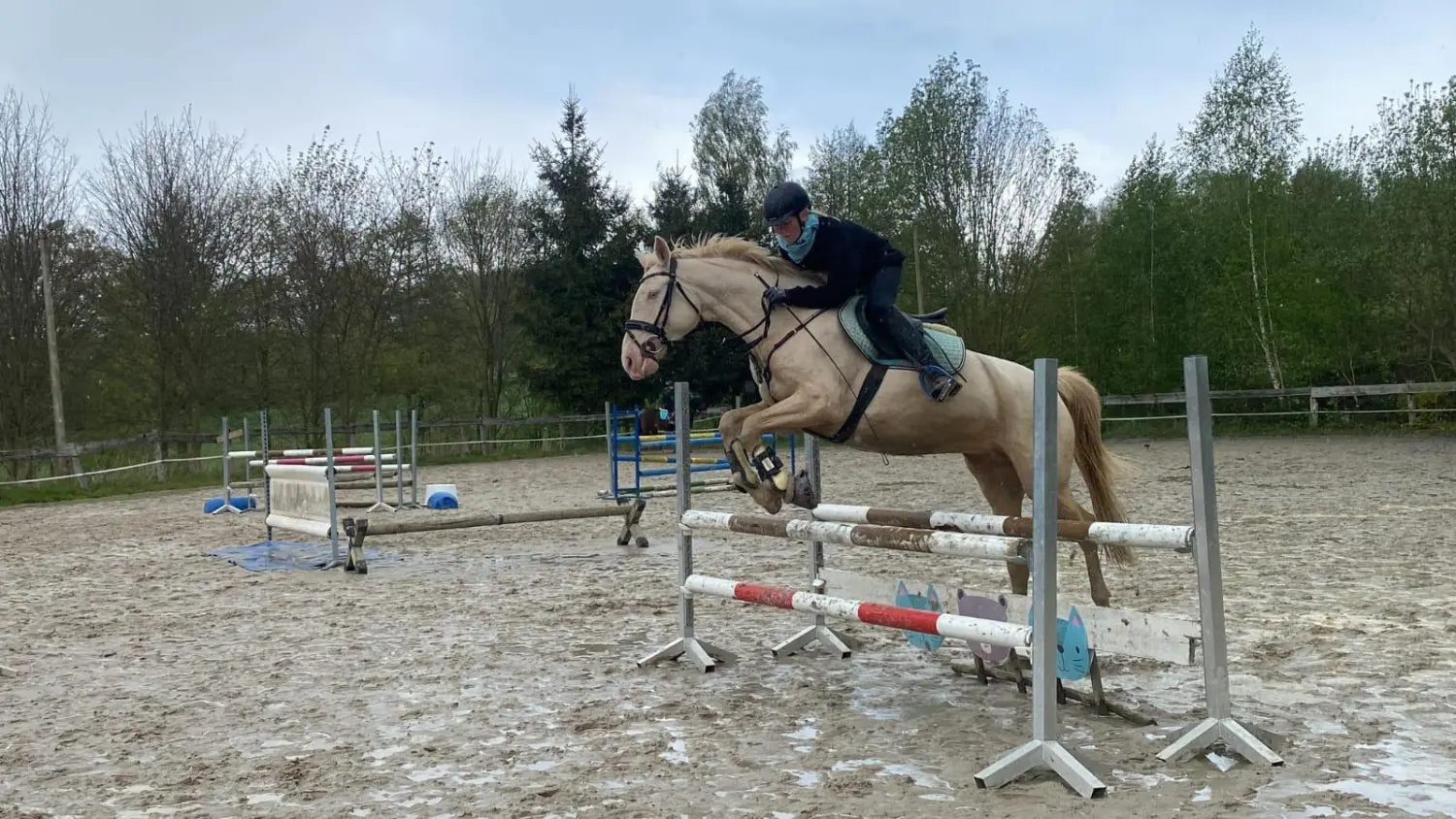 Reitsport Bachmann - Springtraining